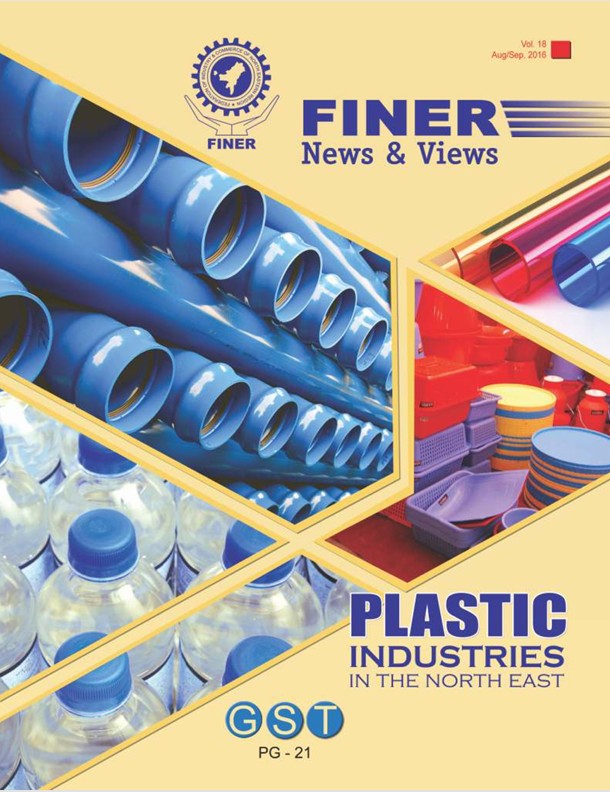 Insights on Plastic Issues